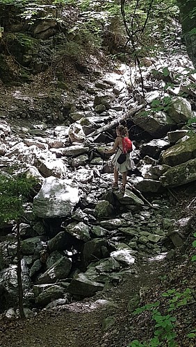 sentier pédestre : sentier forestier de Mayères