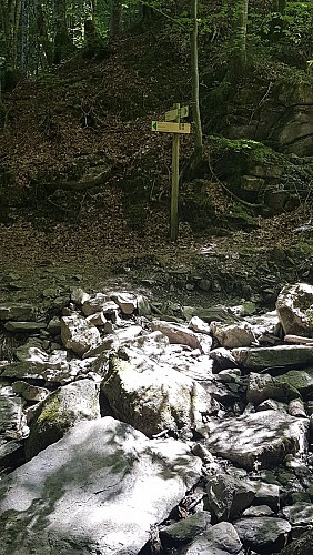 sentier pédestre : sentier forestier de Mayères