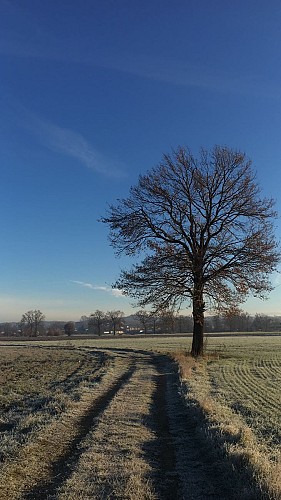 Sentier des 3 communes