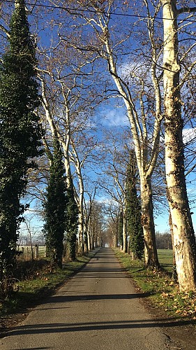 Sentier des 3 communes