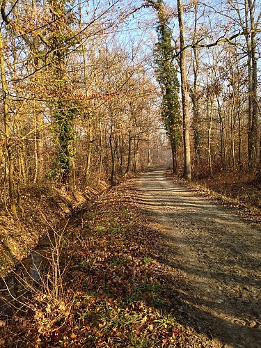 Entre plaine et monts