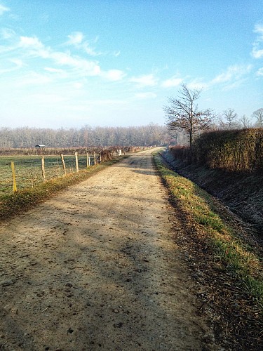 Entre plaine et monts