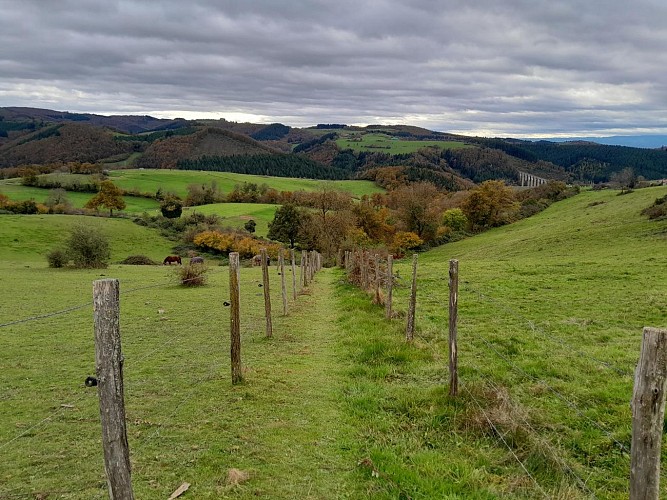 Sentier découverte du viaduc du pont marteau : les chauves-souris