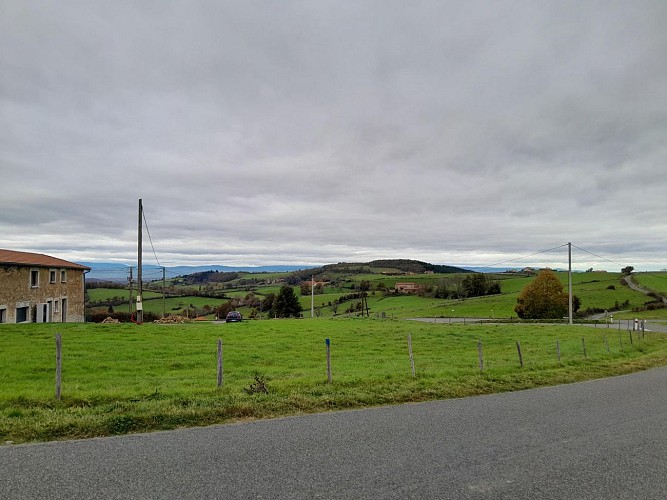 Sentier découverte du viaduc du pont marteau : les chauves-souris_Sainte-Colombe-sur-Gand