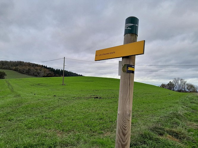 Sentier découverte du viaduc du pont marteau : les chauves-souris_Sainte-Colombe-sur-Gand