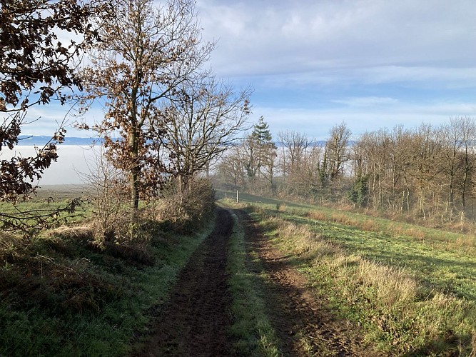 Sentier découverte du viaduc du pont marteau : sur les traces du tacot_Sainte-Colombe-sur-Gand