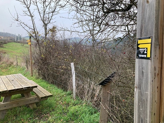 Sentier découverte du viaduc du pont marteau : sur les traces du tacot