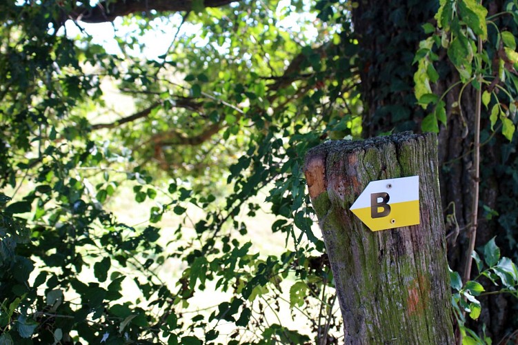 Sentier Les Fayettes