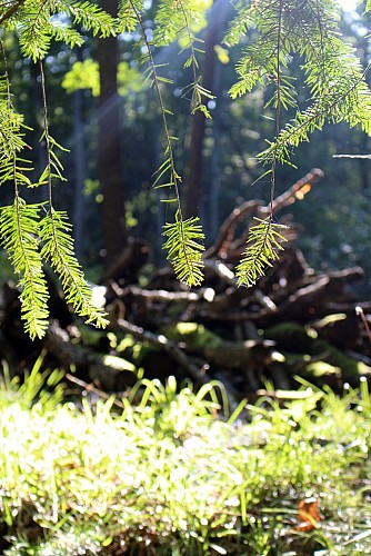 Sentier les deux chapelles