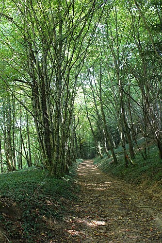 Sentier les deux chapelles