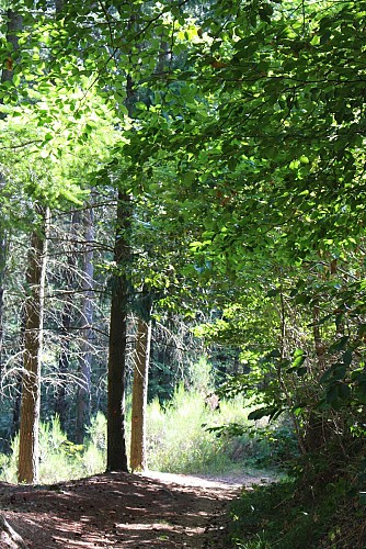 Sentier les deux chapelles