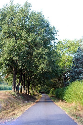 Sentier le Vizézy
