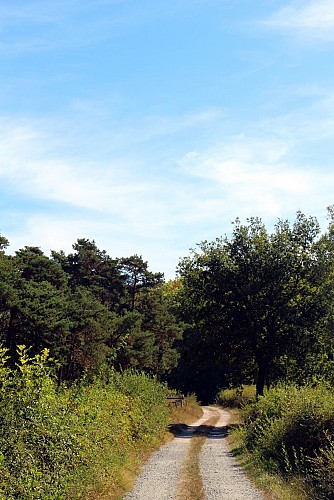 Sentier le Vizézy