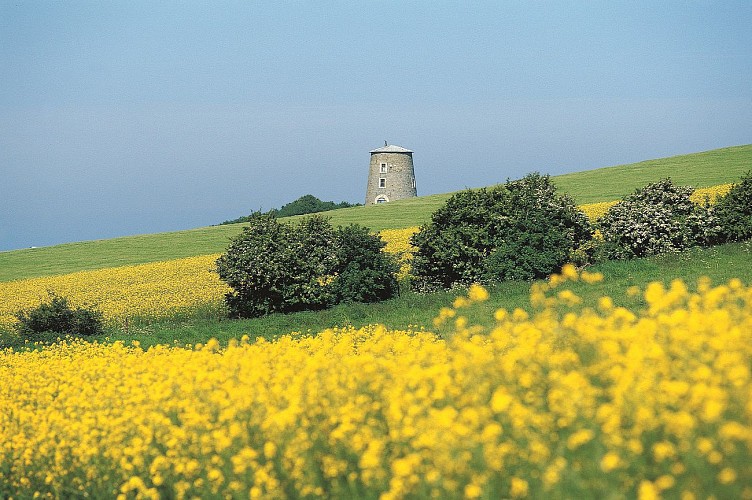 Le Camp du Drap d'Or