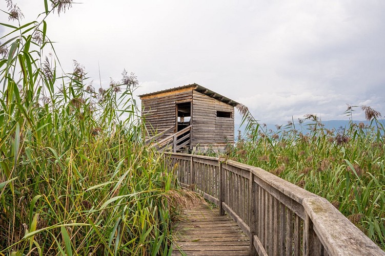 Observatoire ornithologique de Chens-sur-Léman