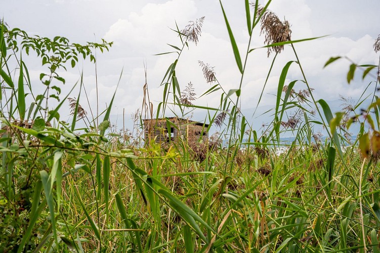 Observatoire ornithologique de Chens-sur-Léman