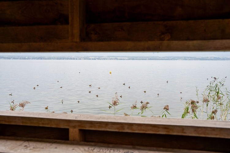 Observatoire ornithologique de Chens-sur-Léman
