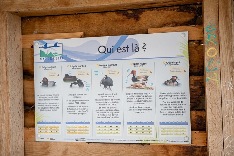 Observatoire ornithologique de Chens-sur-Léman