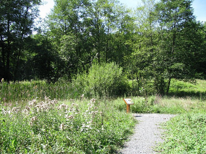 Sentier: "Errance à travers l'histoire"