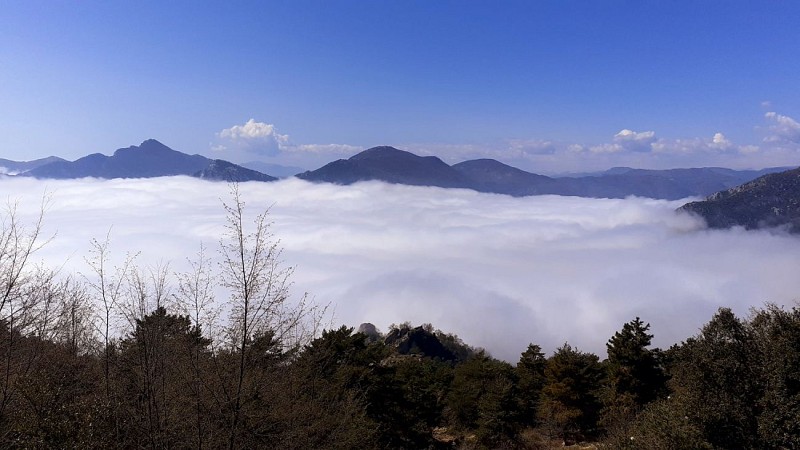 Mer de nuage face au Mont Ours