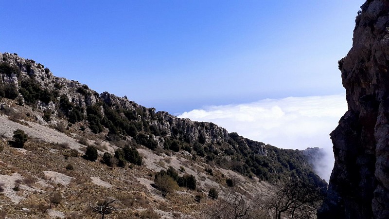 Brumes sur la crête frontière