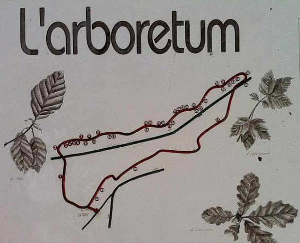 Balade au Naturel - Arboretum de Varennes en Argonne