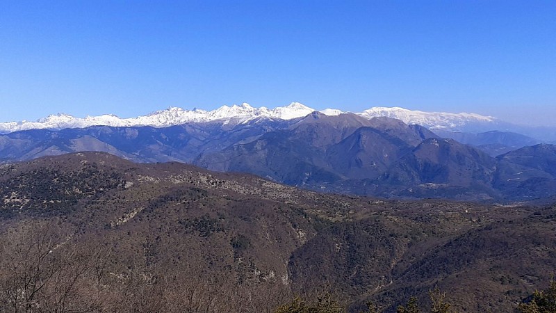 Le Mercantour depuis le sommet