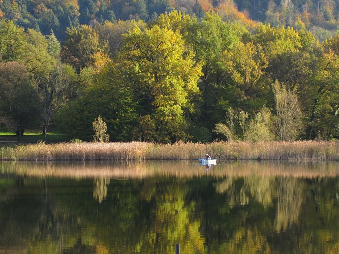 Promenade confort Lac Saint-Clair