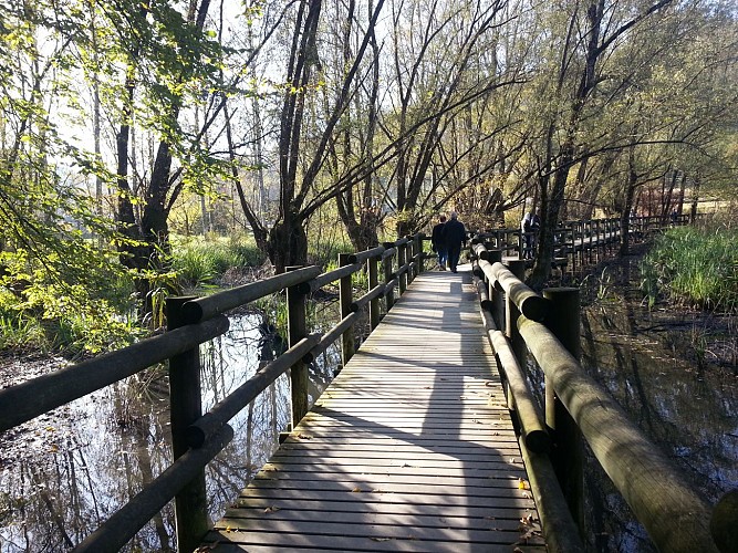 Promenade confort Lac Saint-Clair