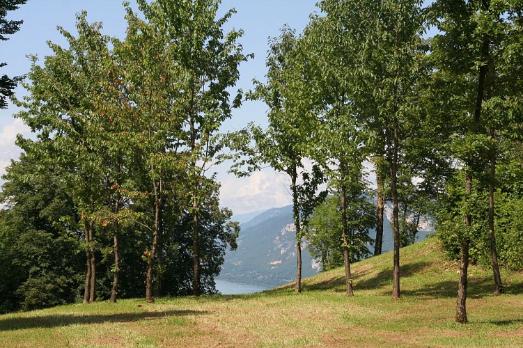 Promenade confort : Notre-Dame de l'Etoile