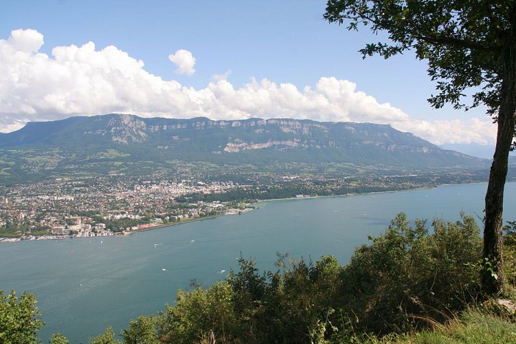 Vue Sud