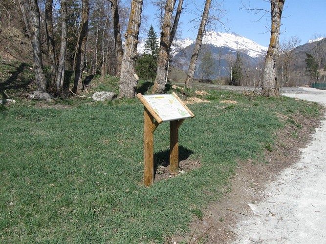 Easy-going walk: La Ballastière conservation orchard