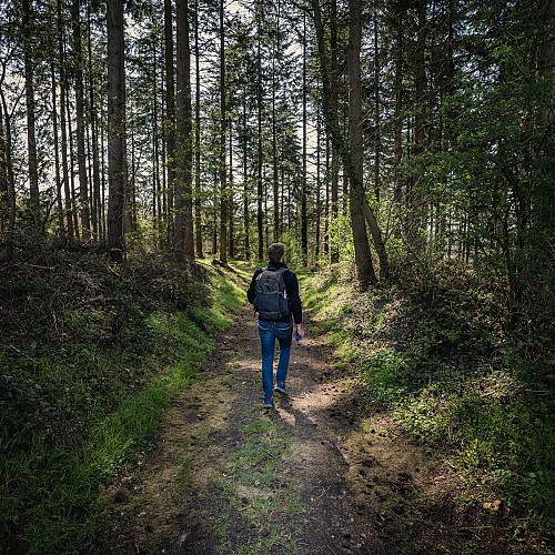 Balade autour de l'Abbaye de Villers