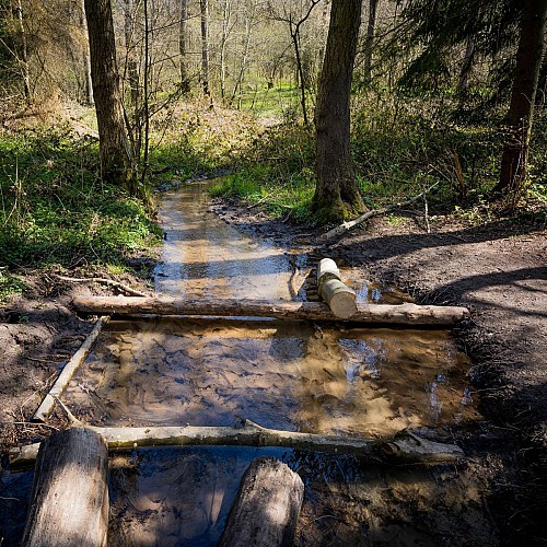 Balade autour de l'Abbaye de Villers