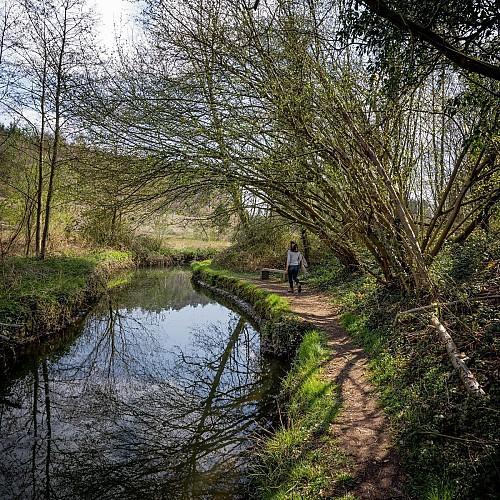 Balade autour de l'Abbaye de Villers