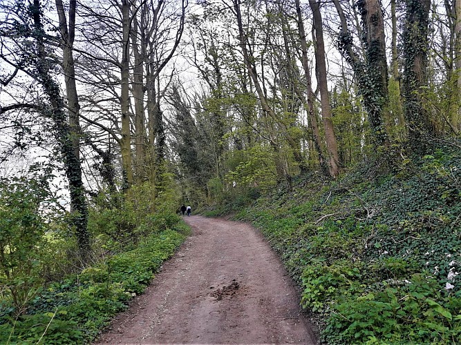 Sentier de Saint-Ranulphe