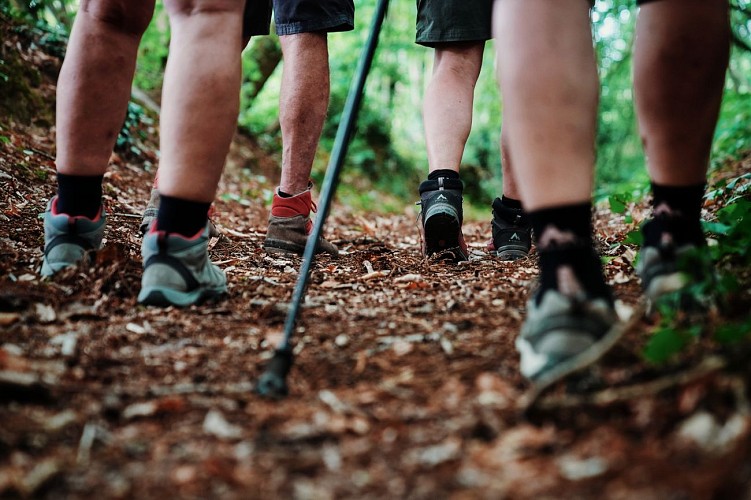 Circuit Les Romains, les Calvaires - Saint-Sauveur-Lendelin