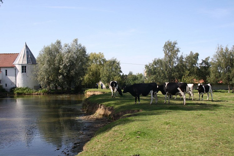 Ferme fortifiée - Ruminghem