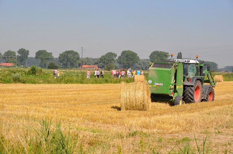 Un territoire agricole