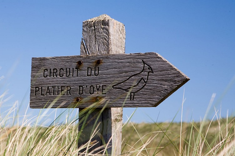Circuit du Platier d'Oye