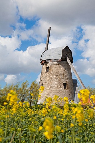 Moulin Lianne - Offekerque