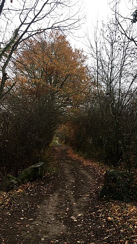 Sentier Par monts et par eau
