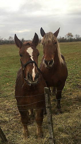 Sentier par monts et par eau