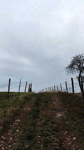 Sentier par monts et par eau