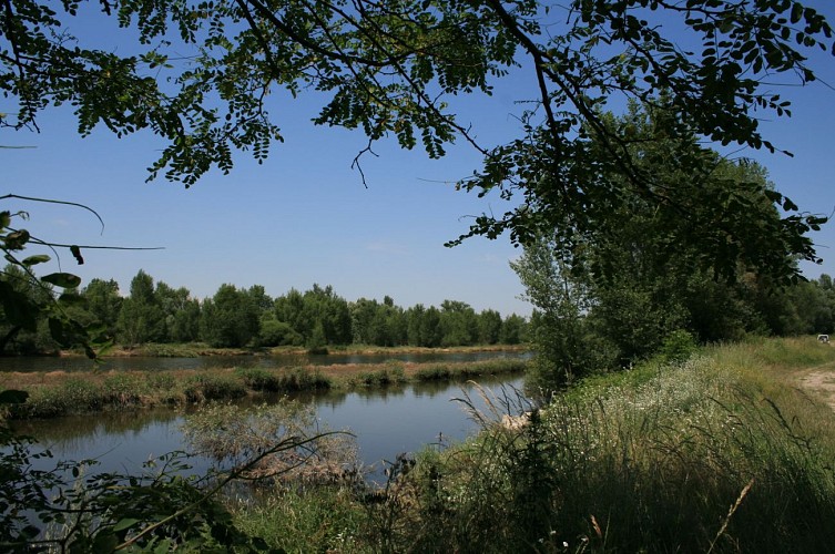 Sentier Les bords de Loire