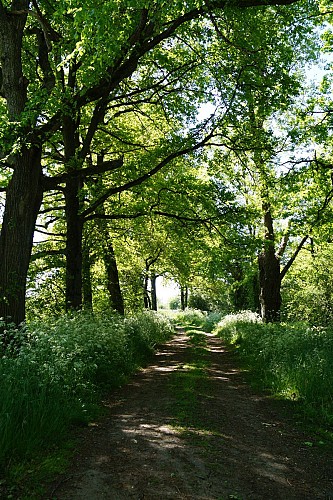 Sentier Les bords de Loire