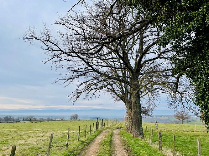 Sentier Le Funiculaire de Biesse_Balbigny