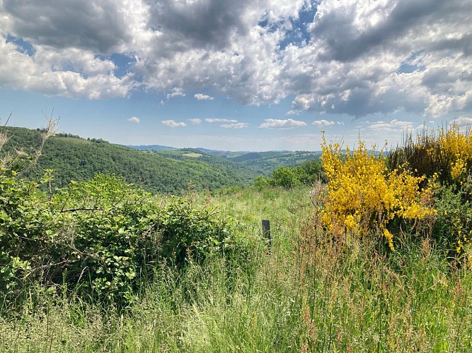 Sentier du patrimoine_Bellegarde-en-Forez