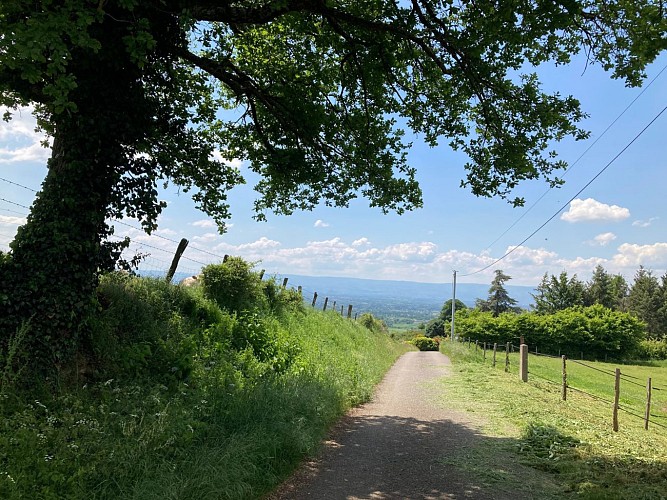 Sentier du patrimoine_Bellegarde-en-Forez