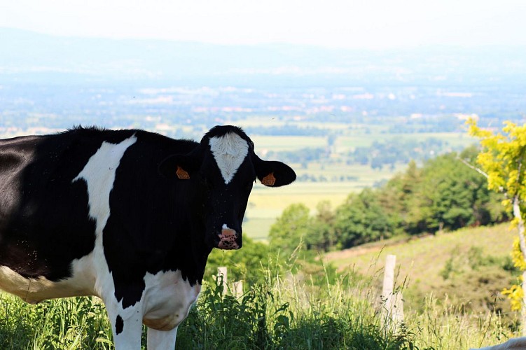 Sentier du patrimoine